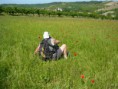 /album/galerie-photos/a240510-coulanges-33-1-jpg/